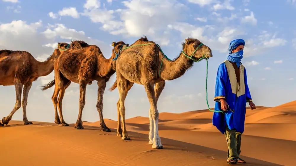 3 DAYS DESERT TOUR FROM OUARZAZATE TO MARRAKECH